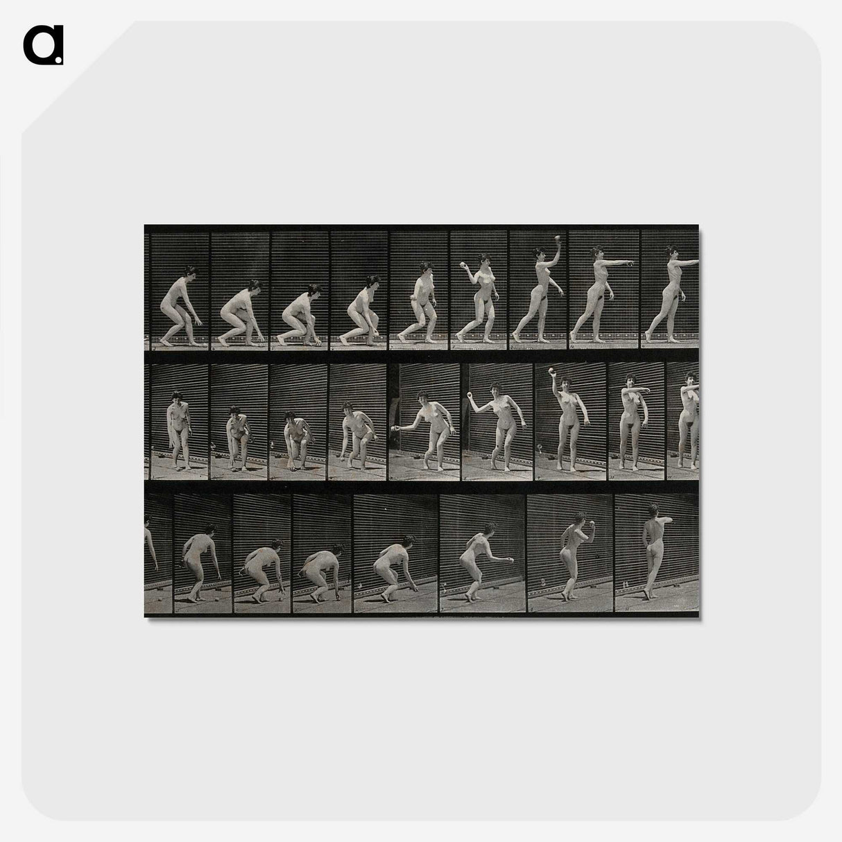 2-7_Eadweard-Muybridge_postcard