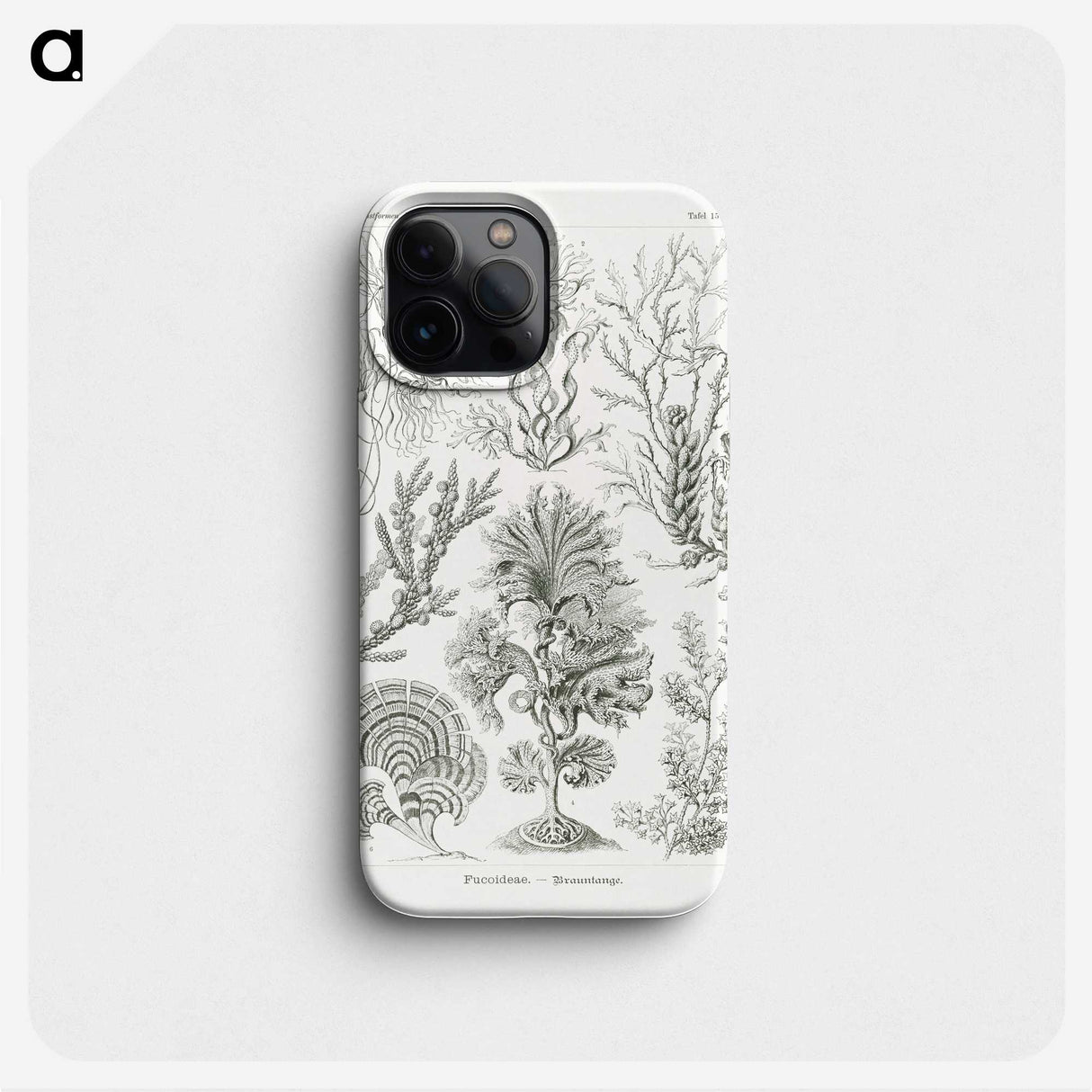 2-7_Ernst-Haeckel_phone