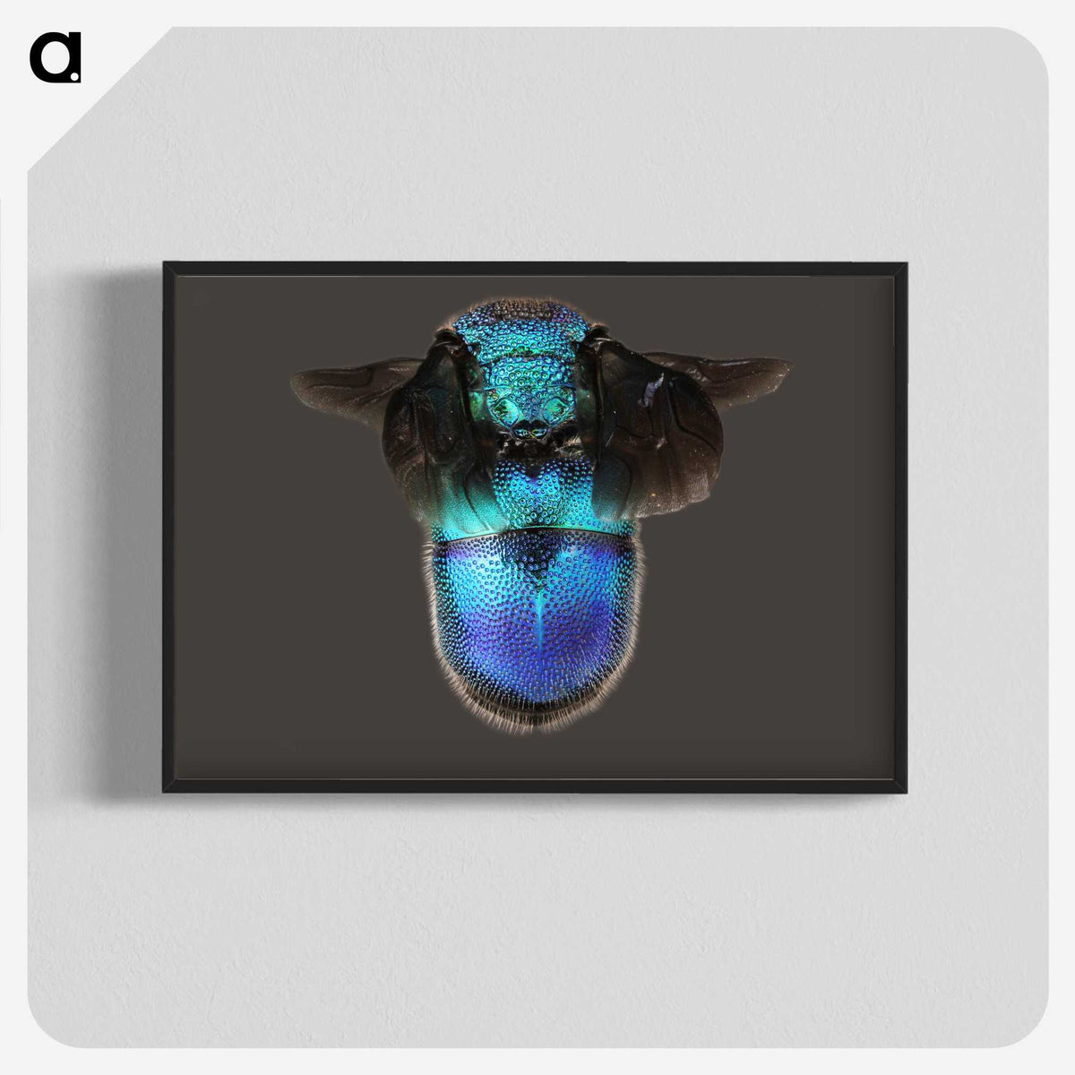 2-7_Insects-Unlocked-Project_blk-crop