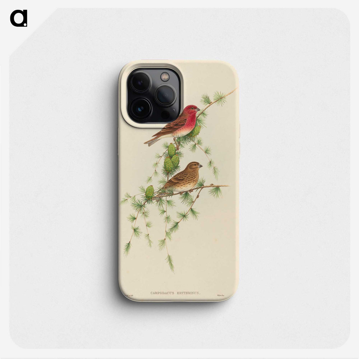2-7_John-Gould_phone