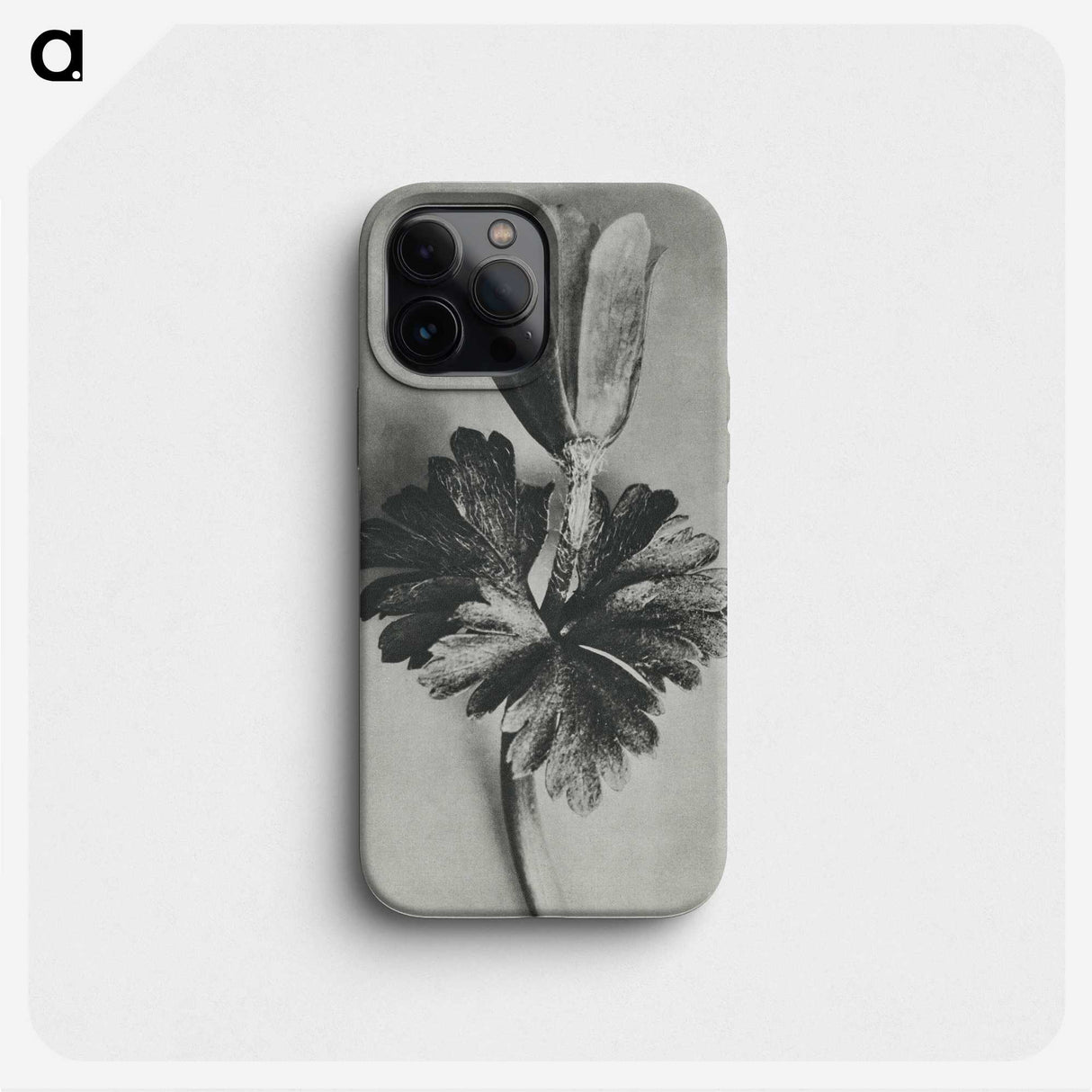 2-7_Karl-Blossfeldt_phone