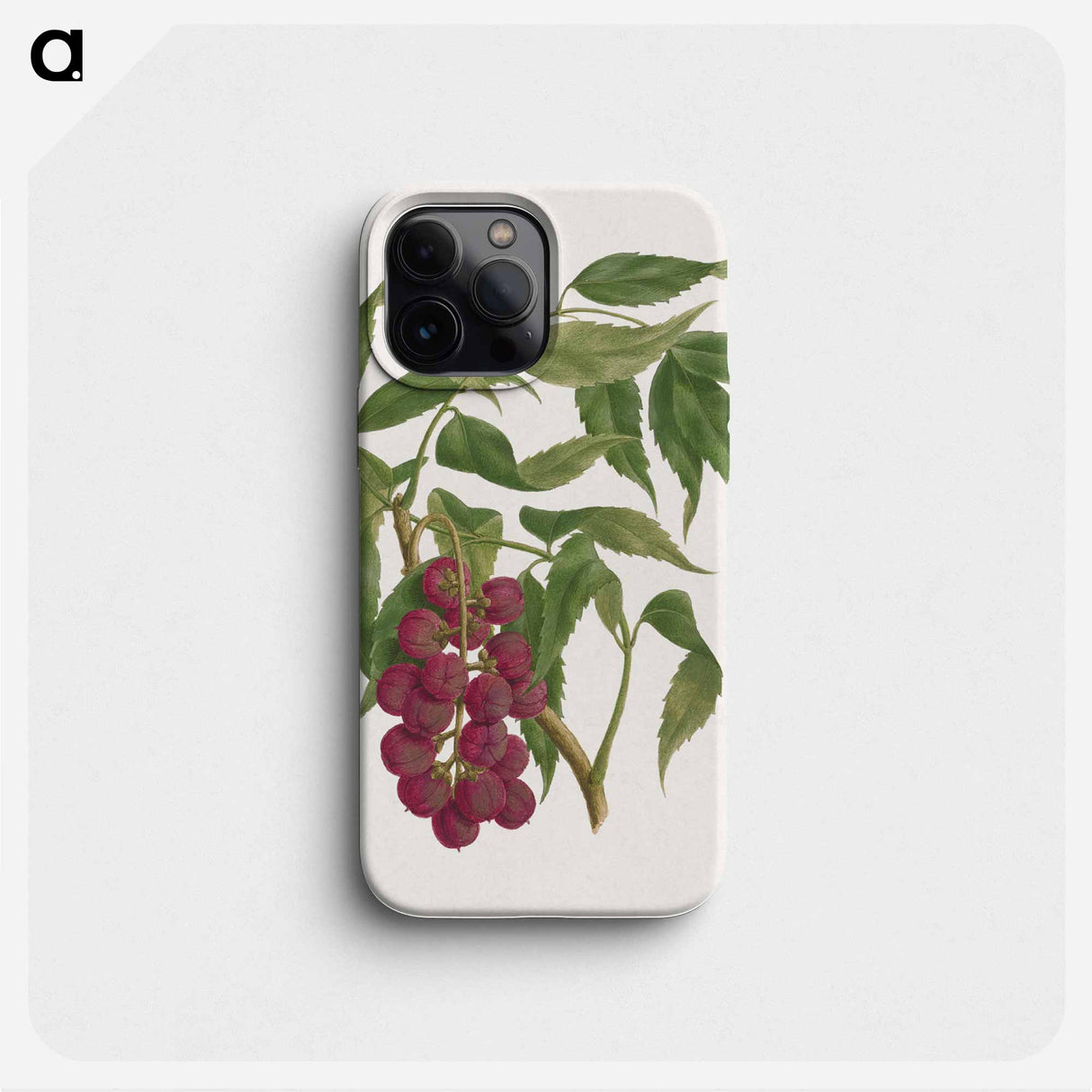 Bersame abyssinica Fresen
- ルイージ バルガーニ Phone Case.