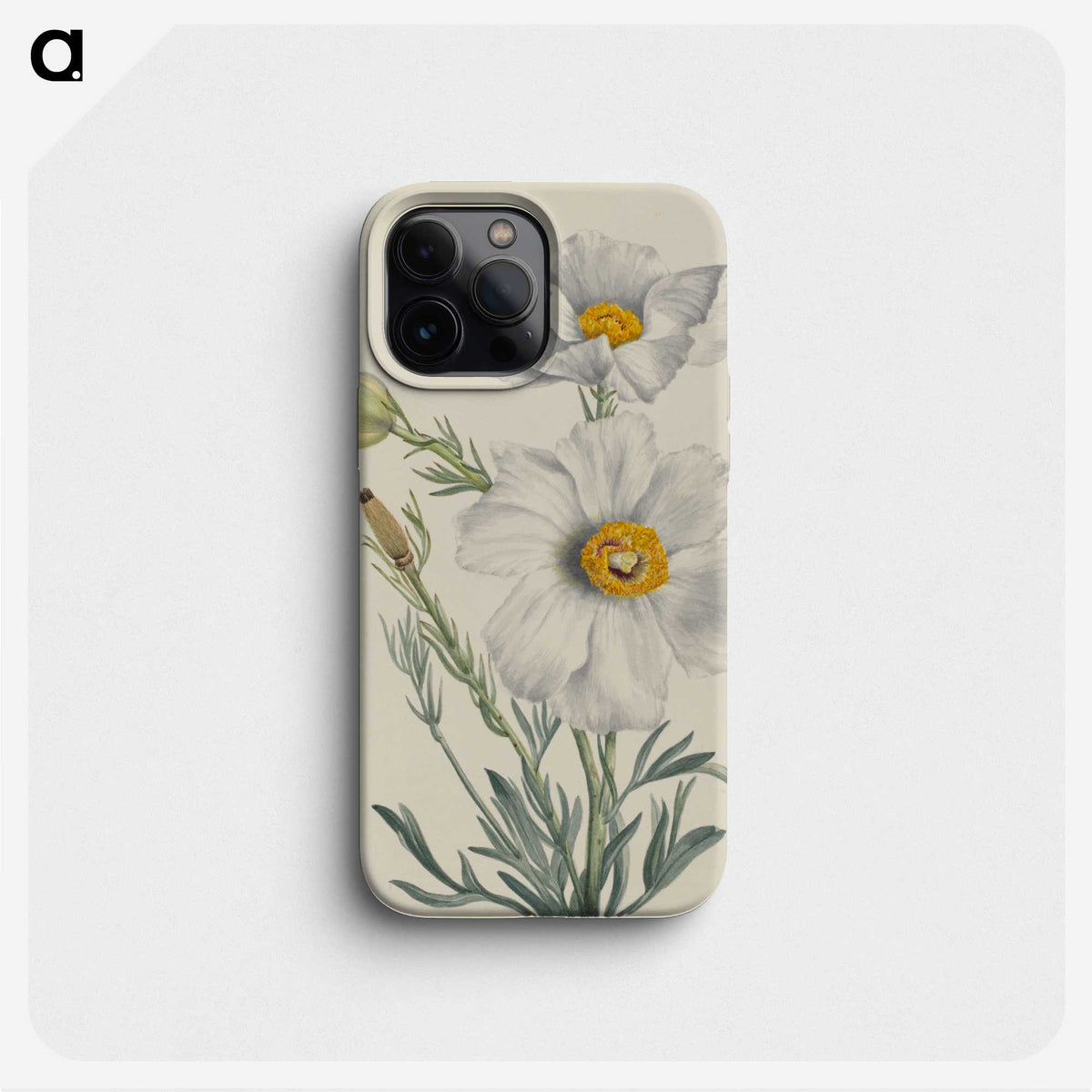 2-7_Mary-Vaux-Walcott_phone