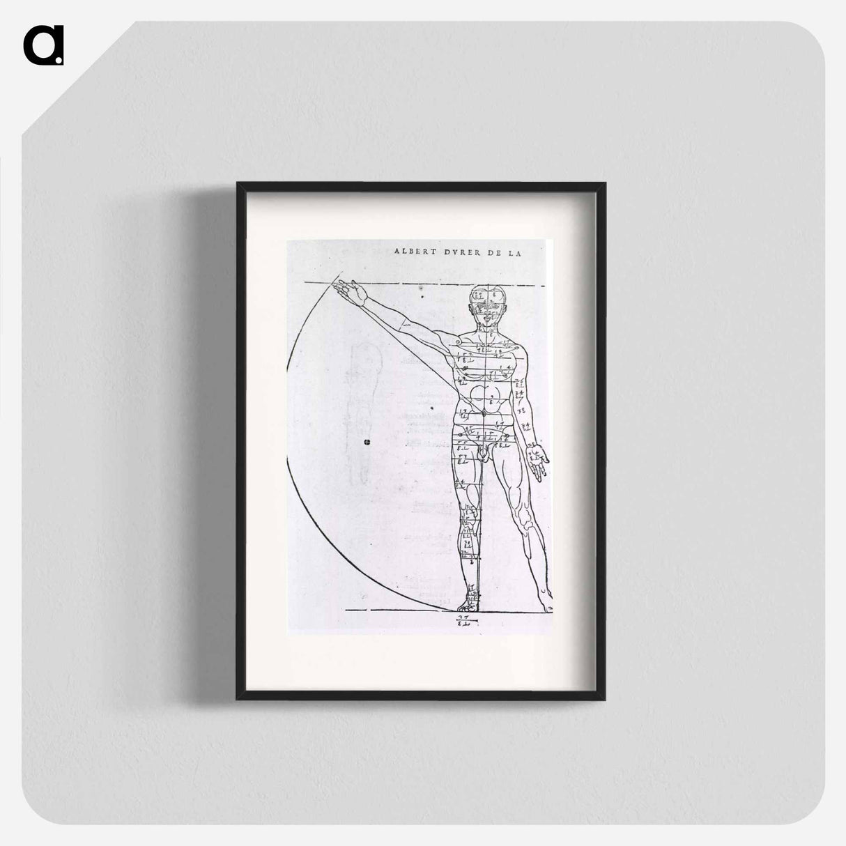 アートポスター-Illustrations on Correct Proportions of Human Anatomy
- 国立医学図書館 Poster.