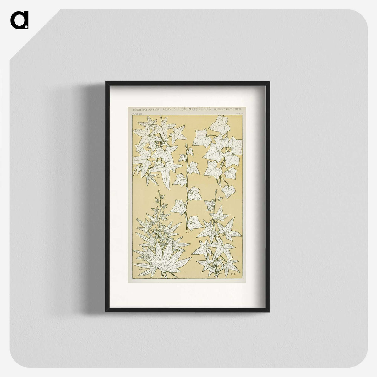 2-7_The-Grammar-of-Ornament_blk