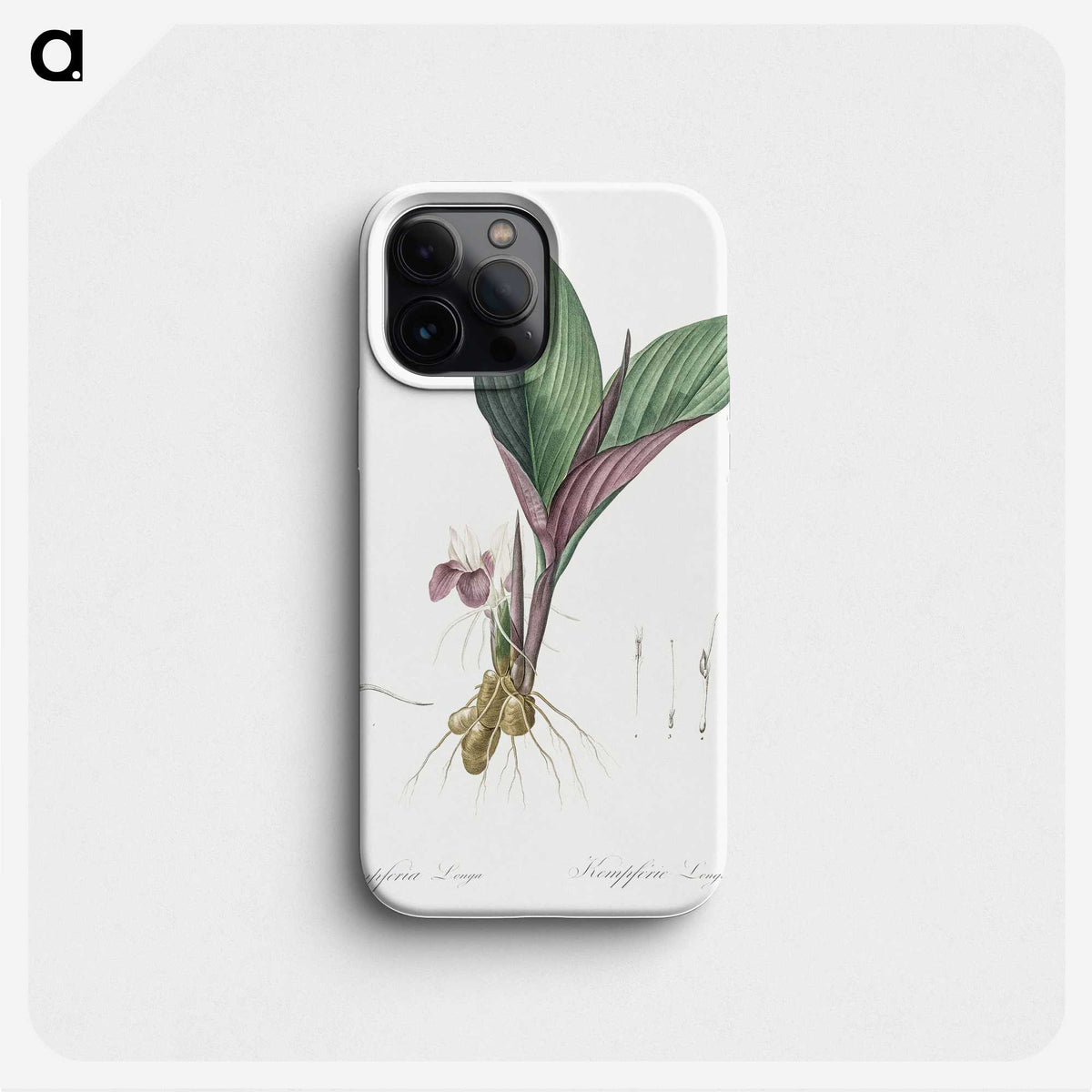 2-7_The-Lilies_phone