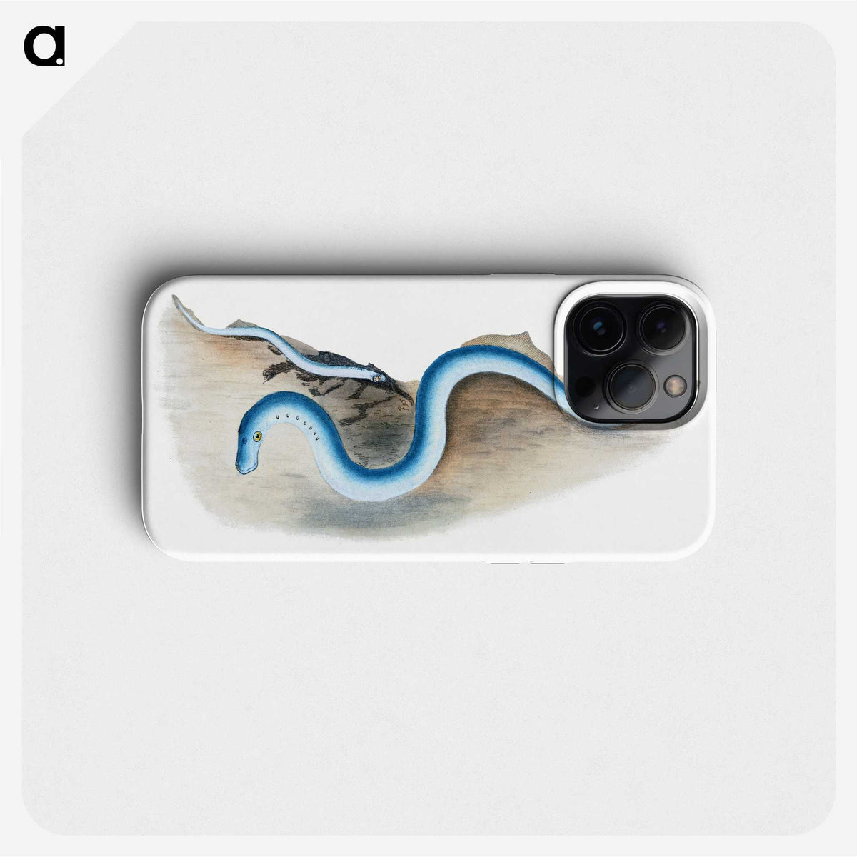 2-7_The-Natural-History-of-British-Fishes_phone
