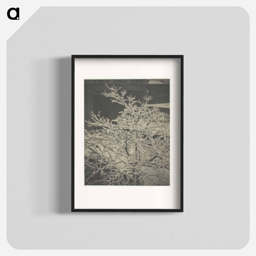 From the Back-Window "291" Snow-Covered Tree, Back-Yard - アルフレッド スティーグリッツ Poster.