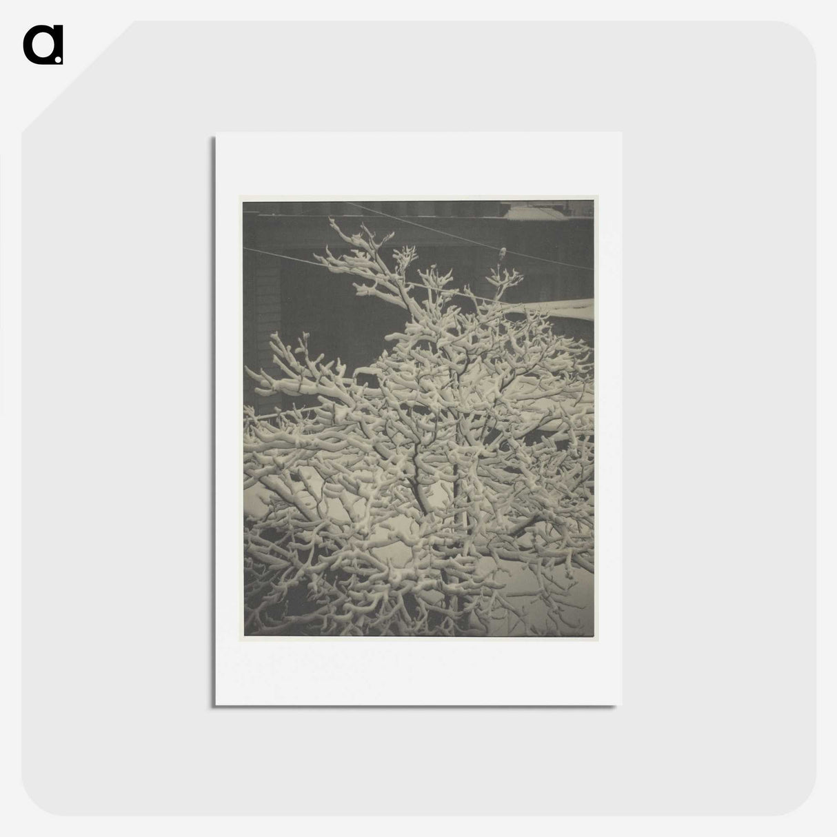 2-80_Alfred-Stieglitz_hagaki