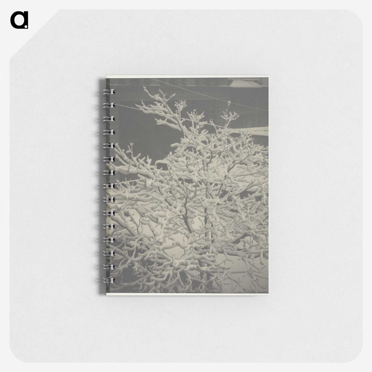 2-80_Alfred-Stieglitz_memo