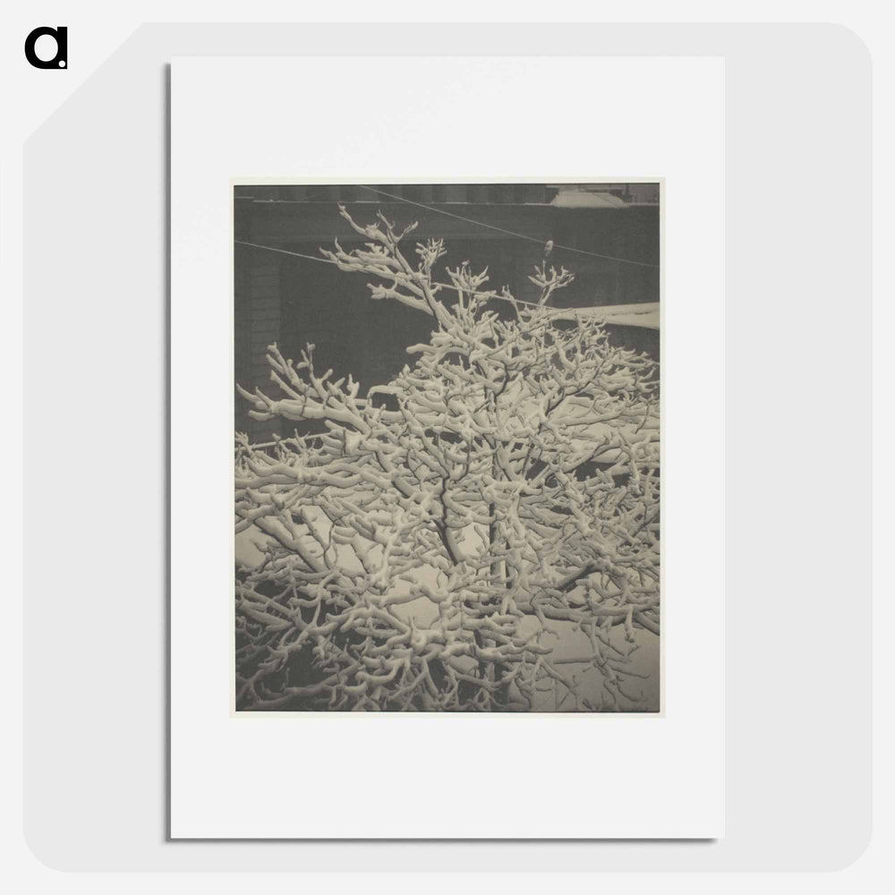 From the Back-Window "291" Snow-Covered Tree, Back-Yard - アルフレッド スティーグリッツ Poster.