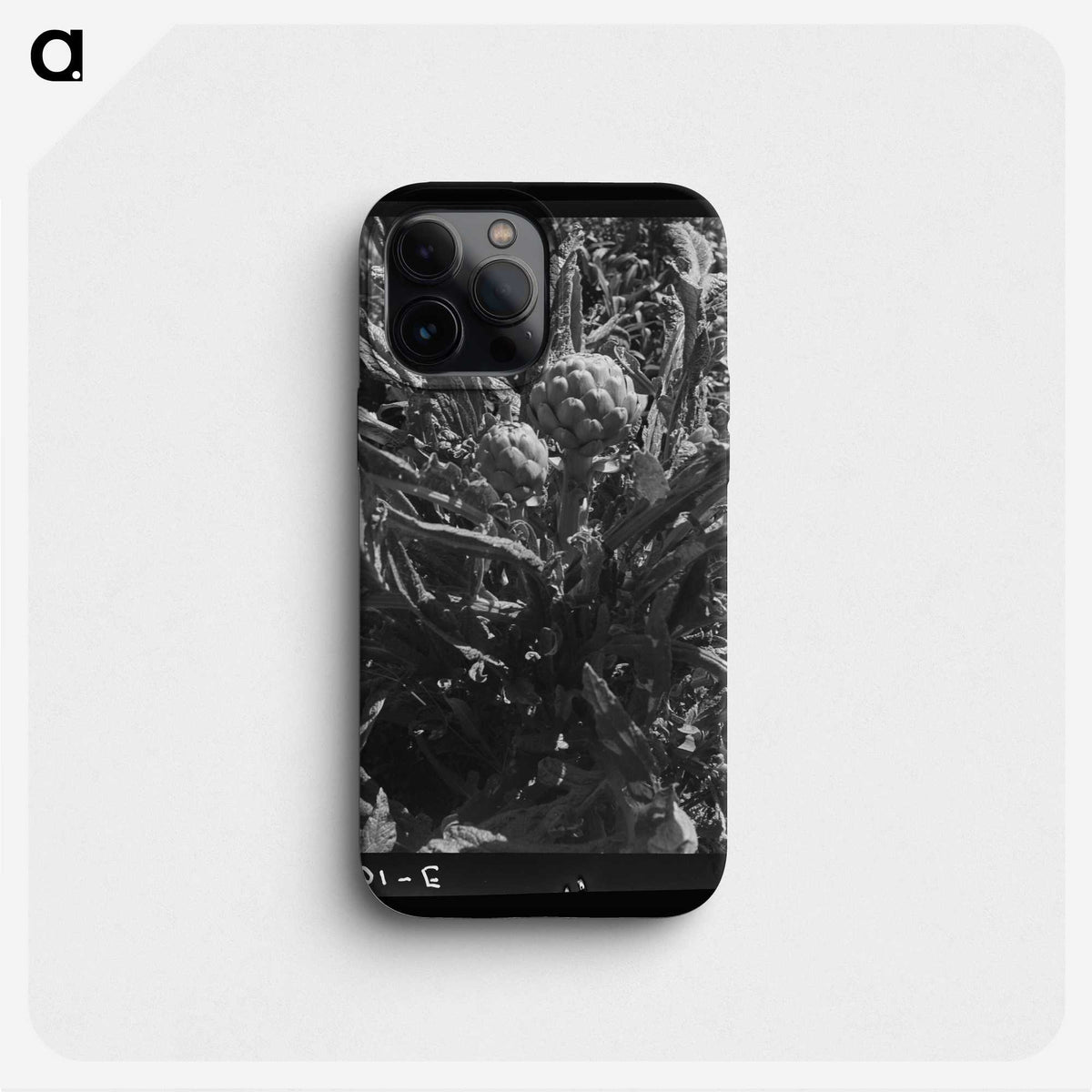 2-80_Dorothea-Lange_phone