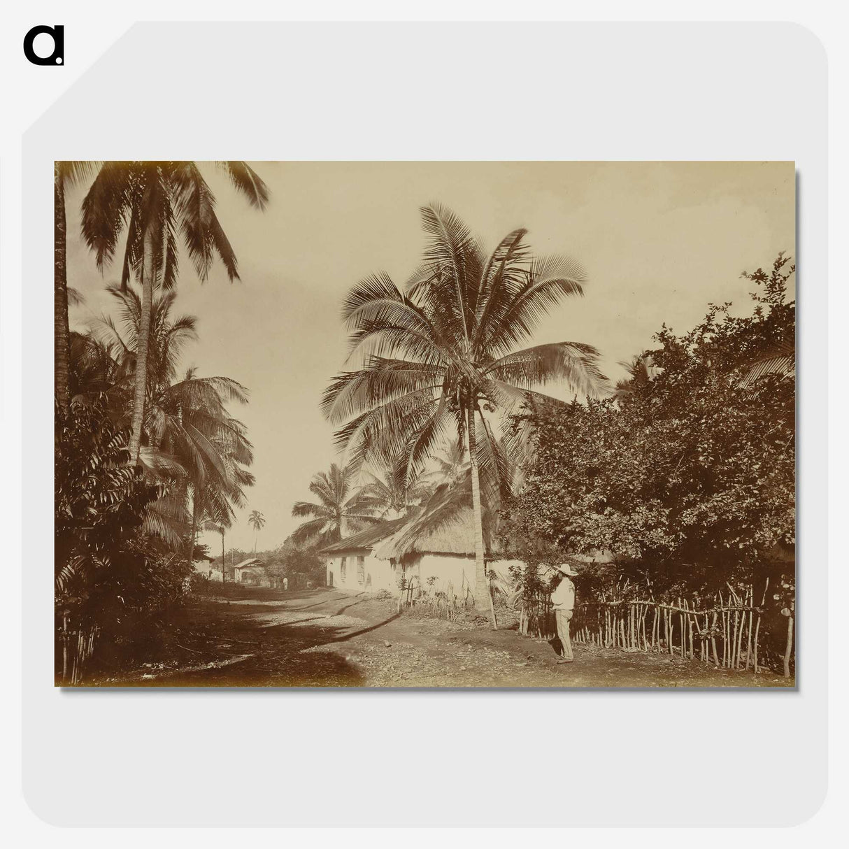 2-80_Eadweard-Muybridge_picture-crop