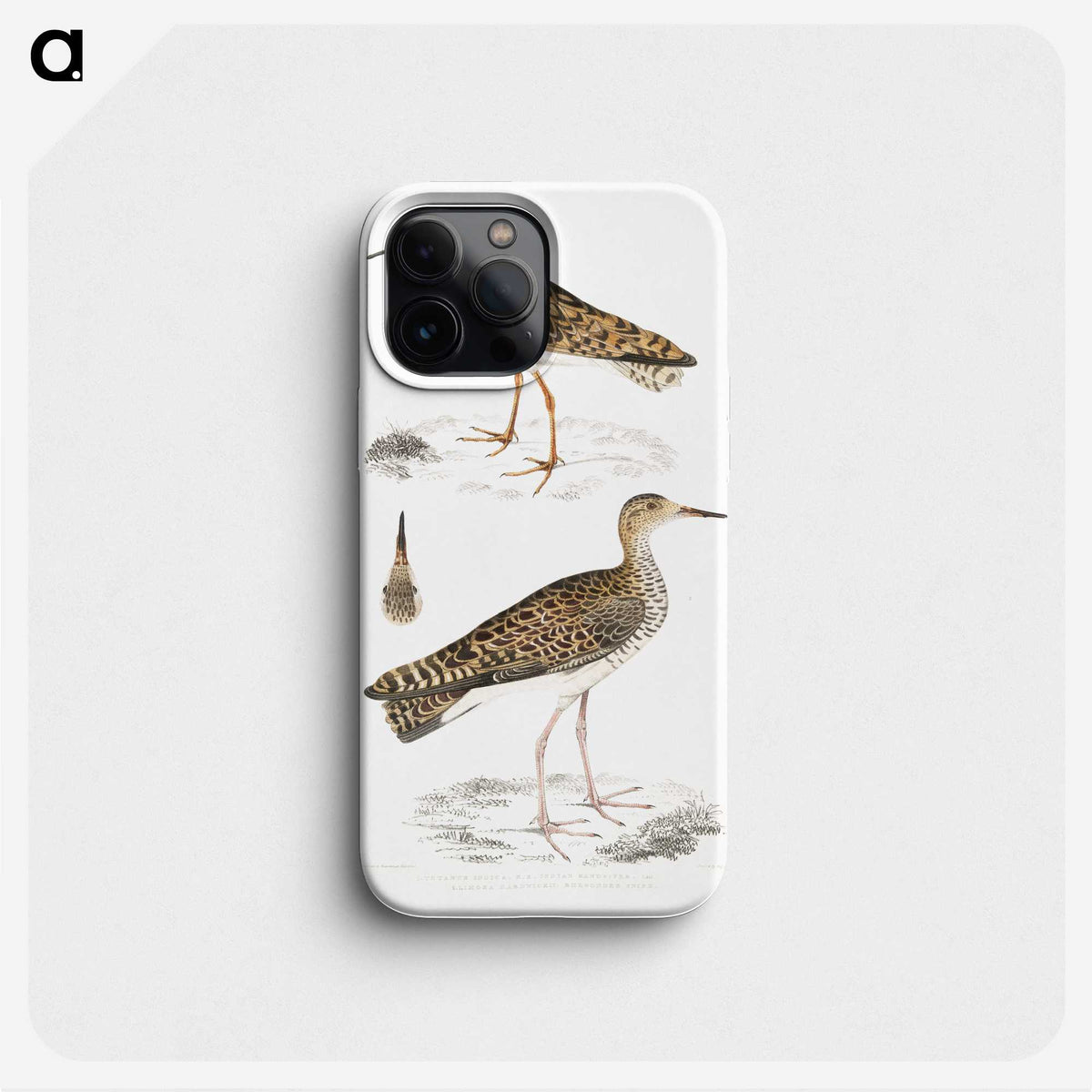 2-80_Indian-Zoology_phone