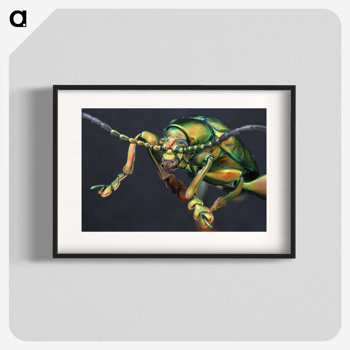 2-80_Insects-Unlocked-Project_blk