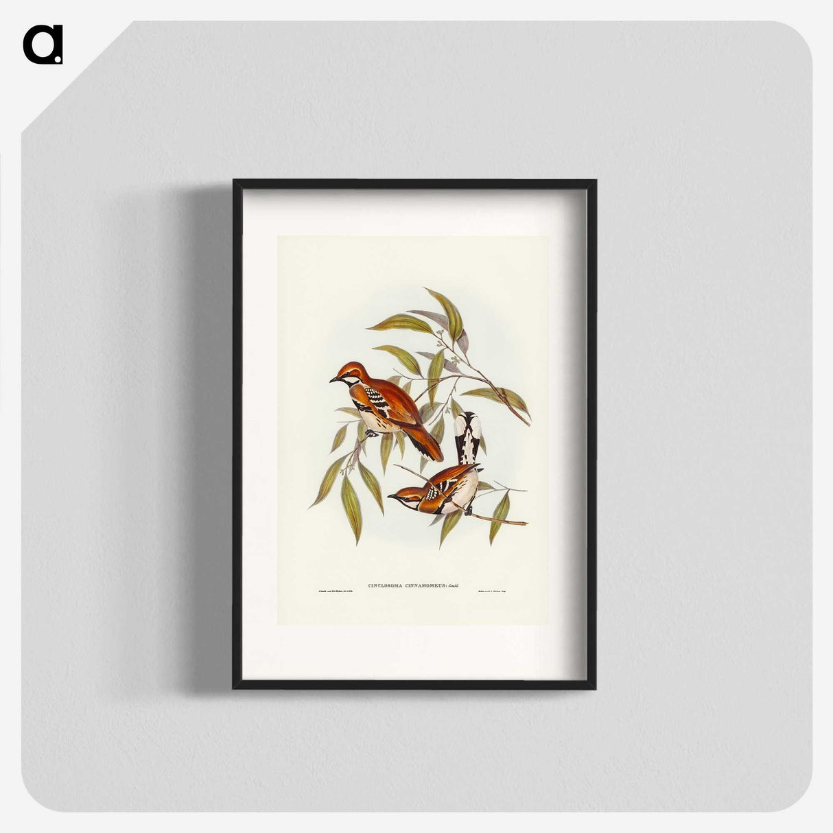 2-80_John-Gould_blk