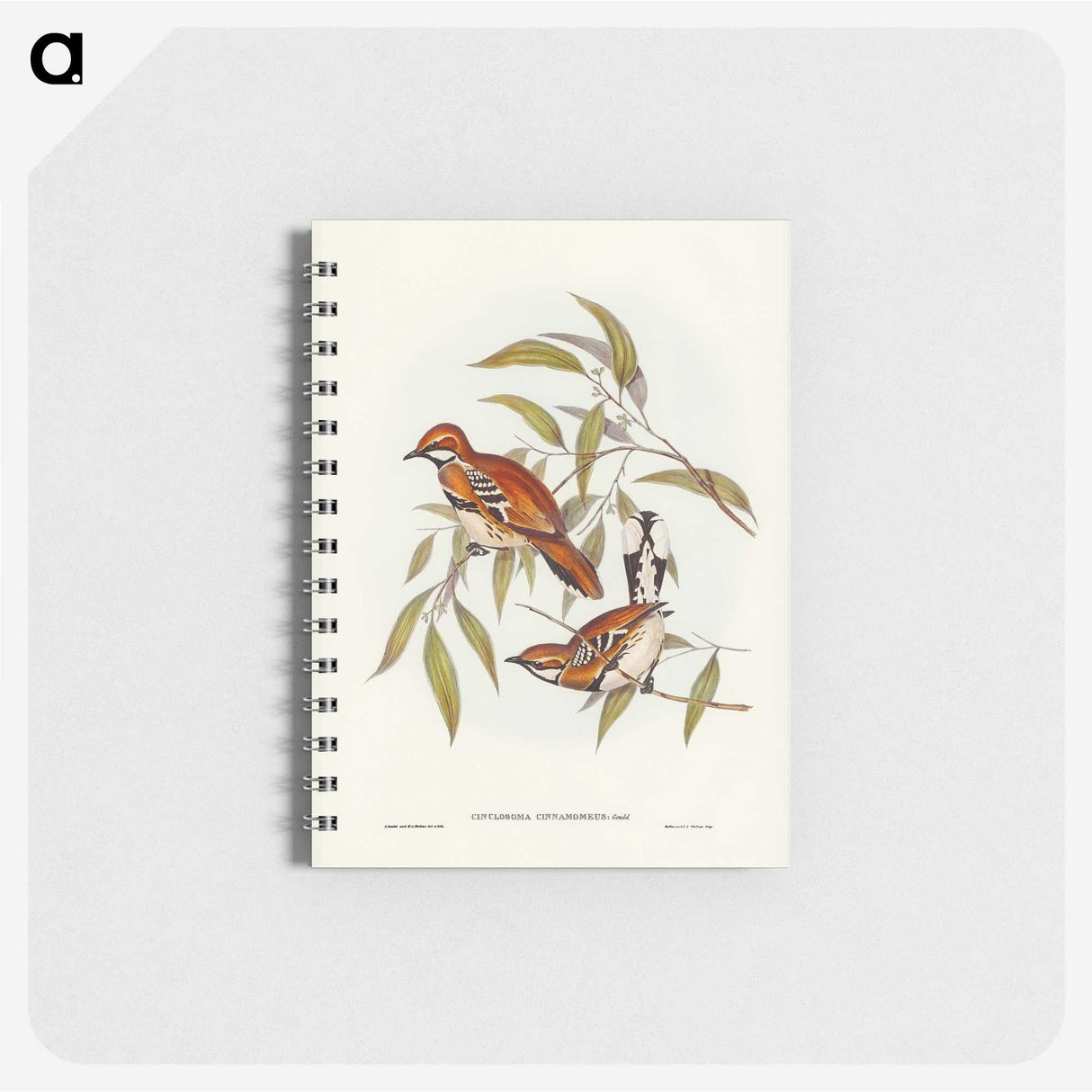 2-80_John-Gould_memo