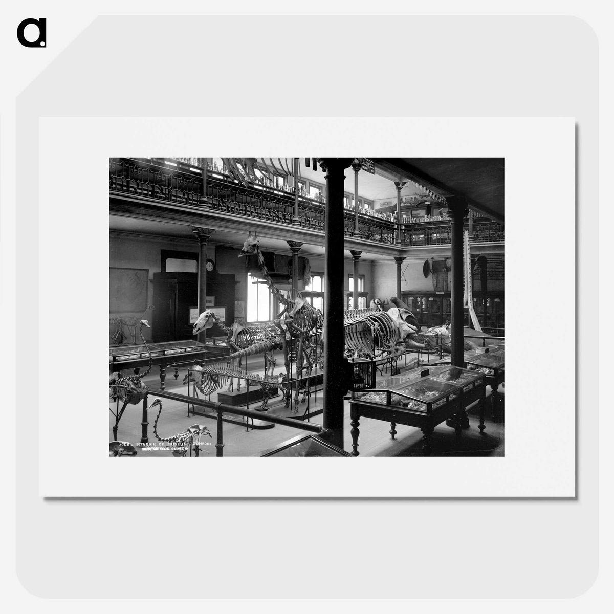 2-80_The-Burton-Brothers_picture