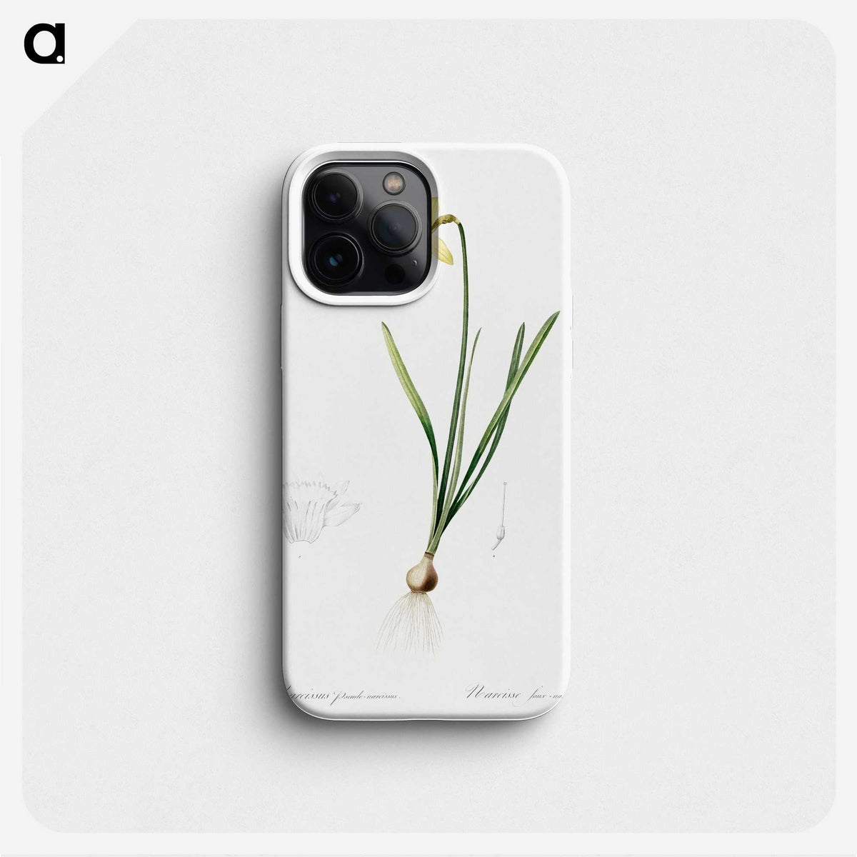 2-80_The-Lilies_phone