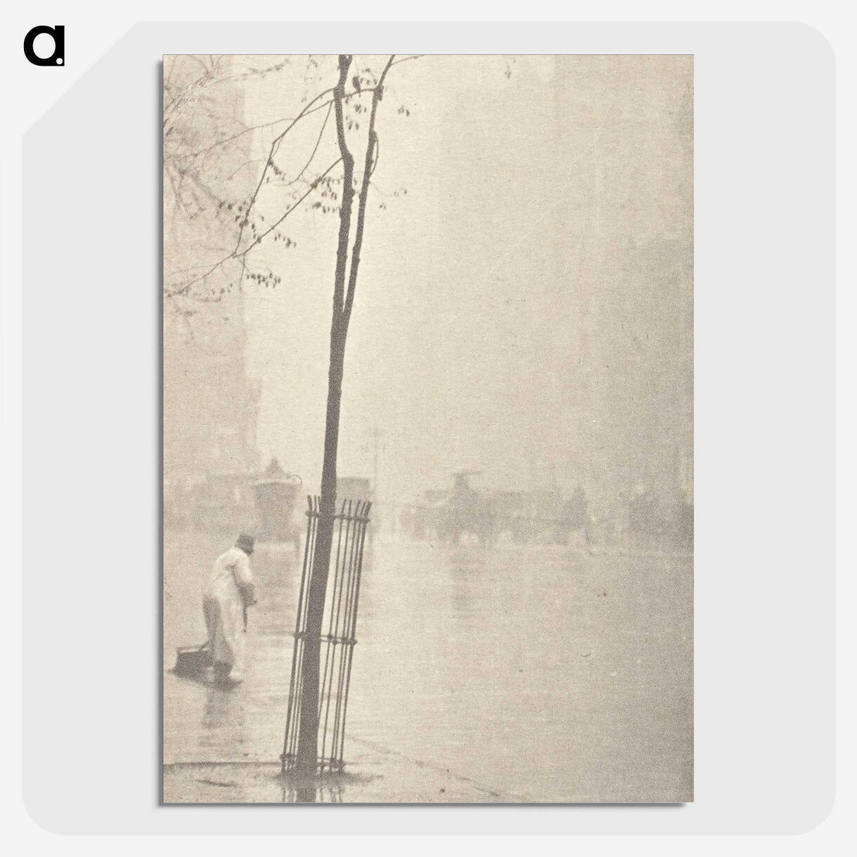 2-81_Alfred-Stieglitz_picture-crop