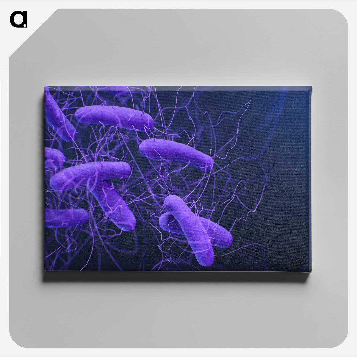 2-81_COVID-19_canvas