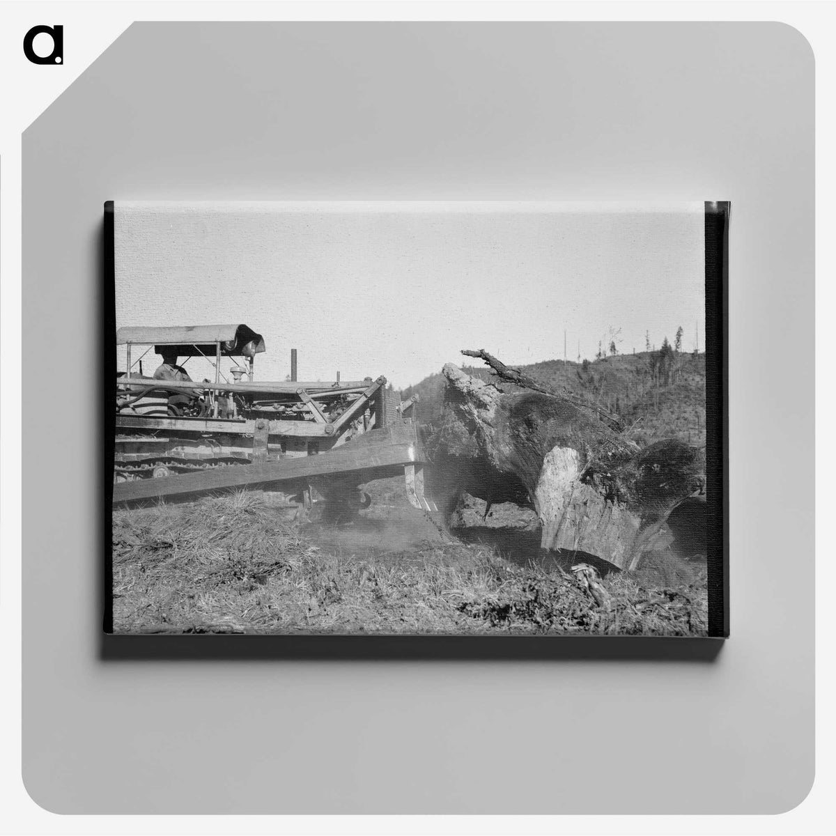 2-81_Dorothea-Lange_canvas