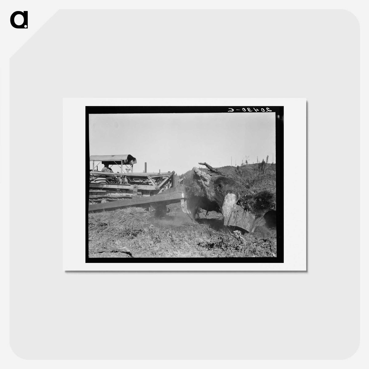 2-81_Dorothea-Lange_hagaki
