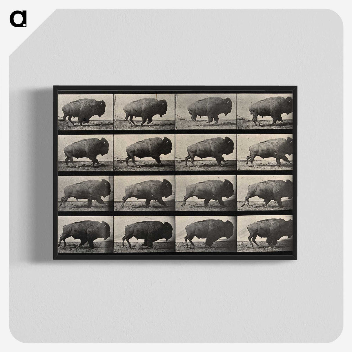 2-81_Eadweard-Muybridge_blk-crop