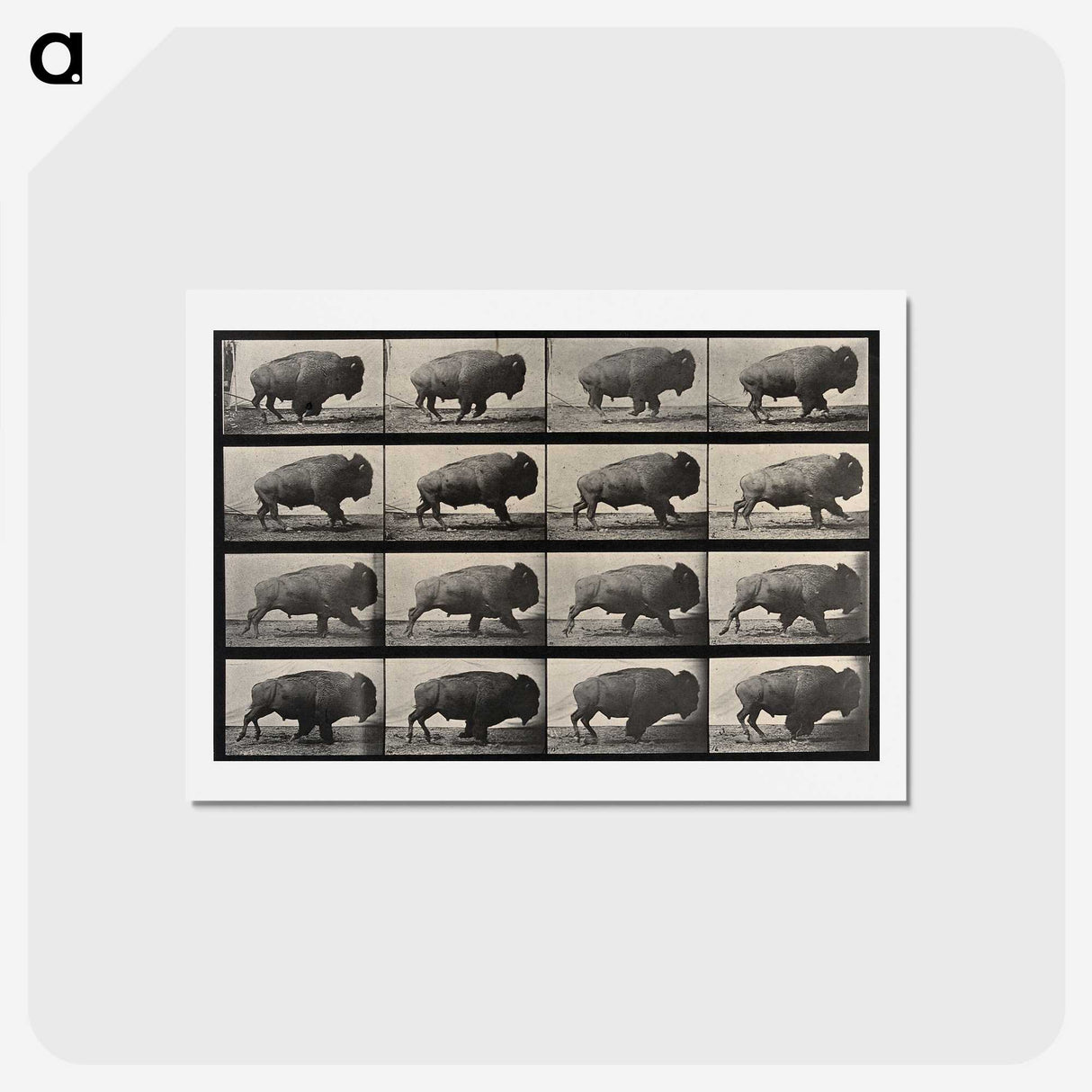2-81_Eadweard-Muybridge_hagaki