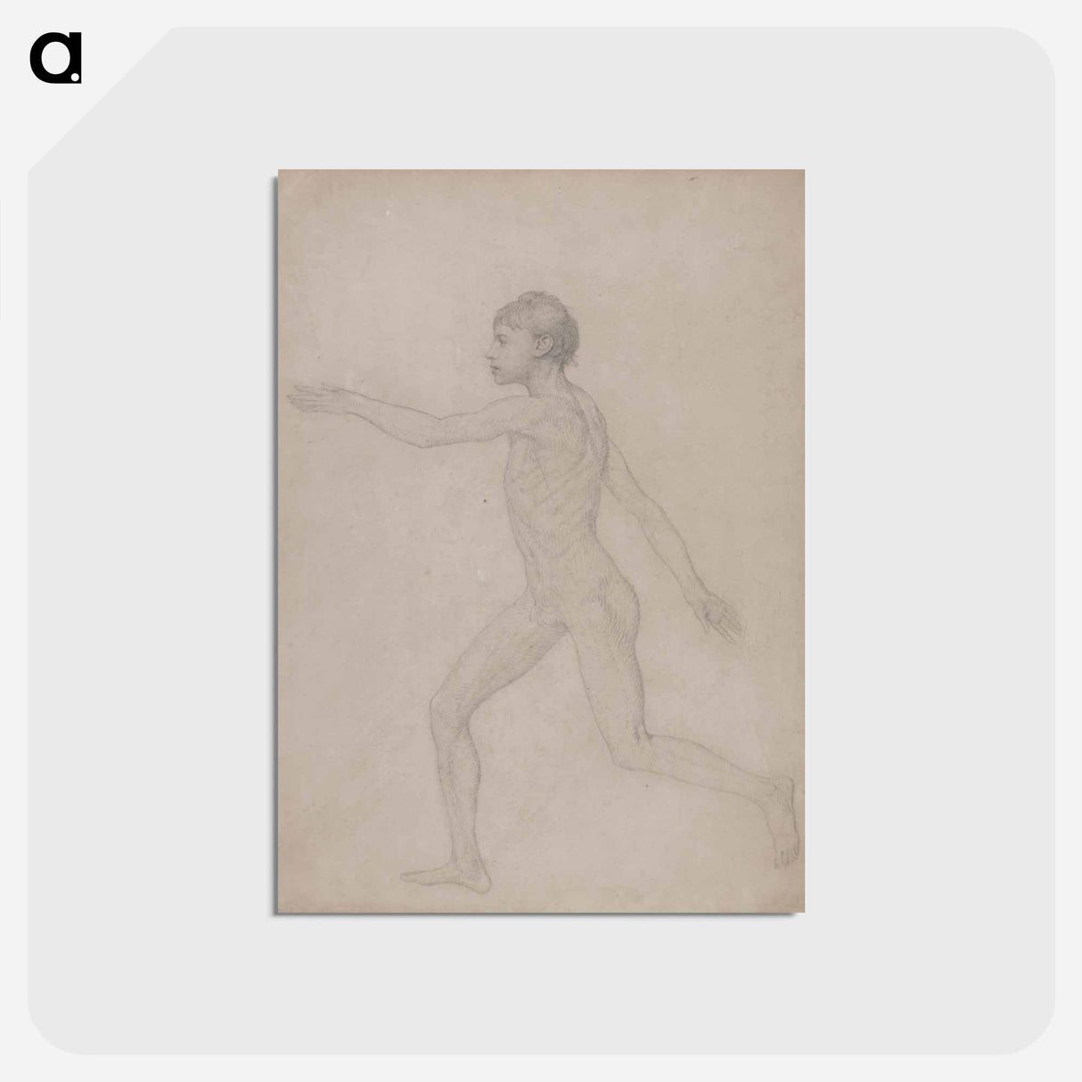 アートポストカード-Human Figure, Lateral View
- ジョージ スタッブス Postcard.