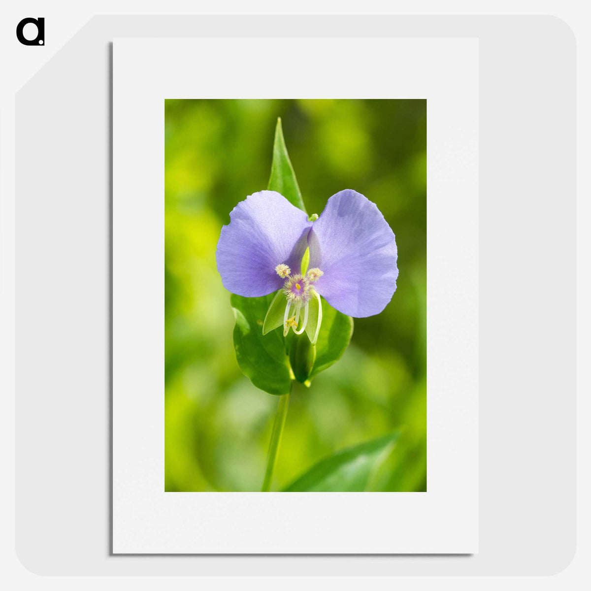 2-81_Insects-Unlocked-Project_picture