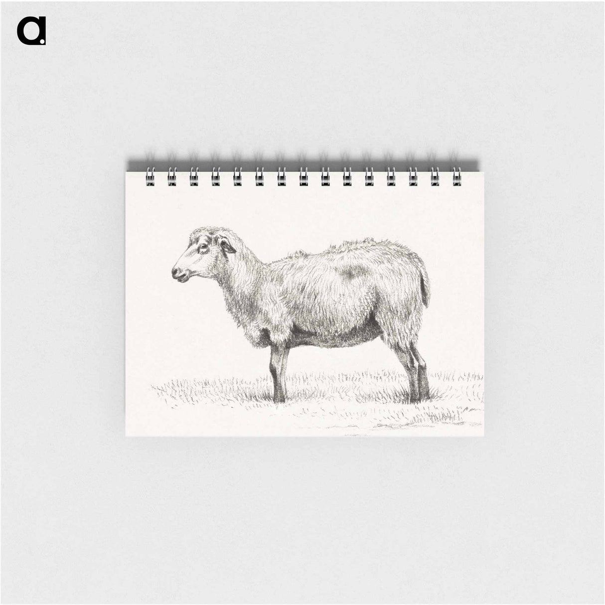 Standing sheep - ジャン ベルナール Memo.