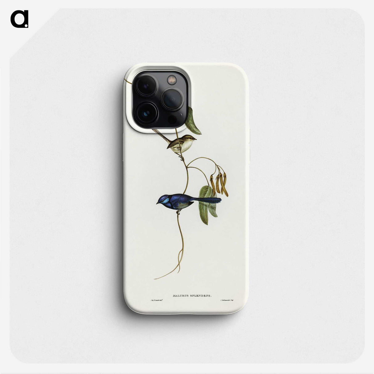 2-81_John-Gould_phone