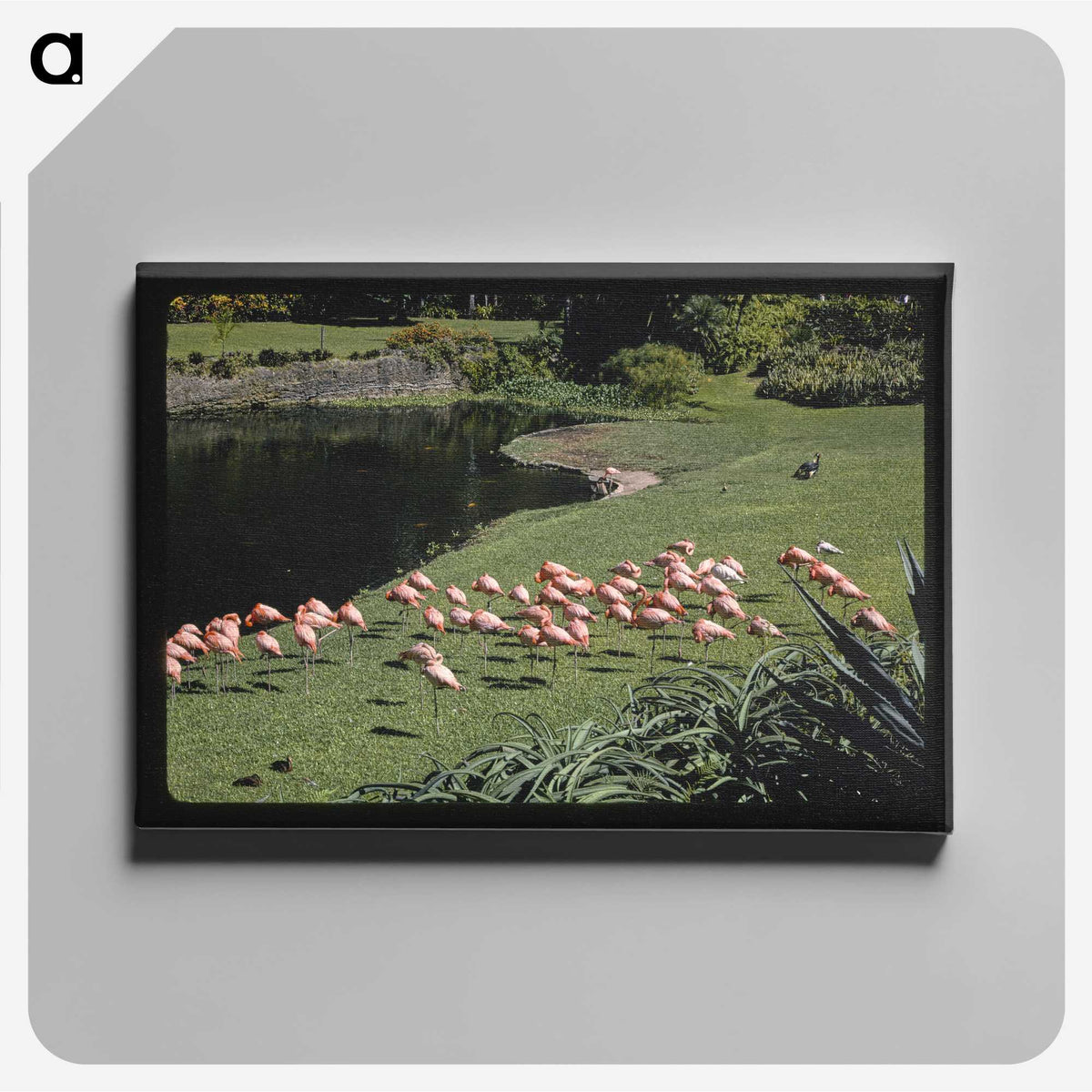 2-81_John-Margolies_canvas