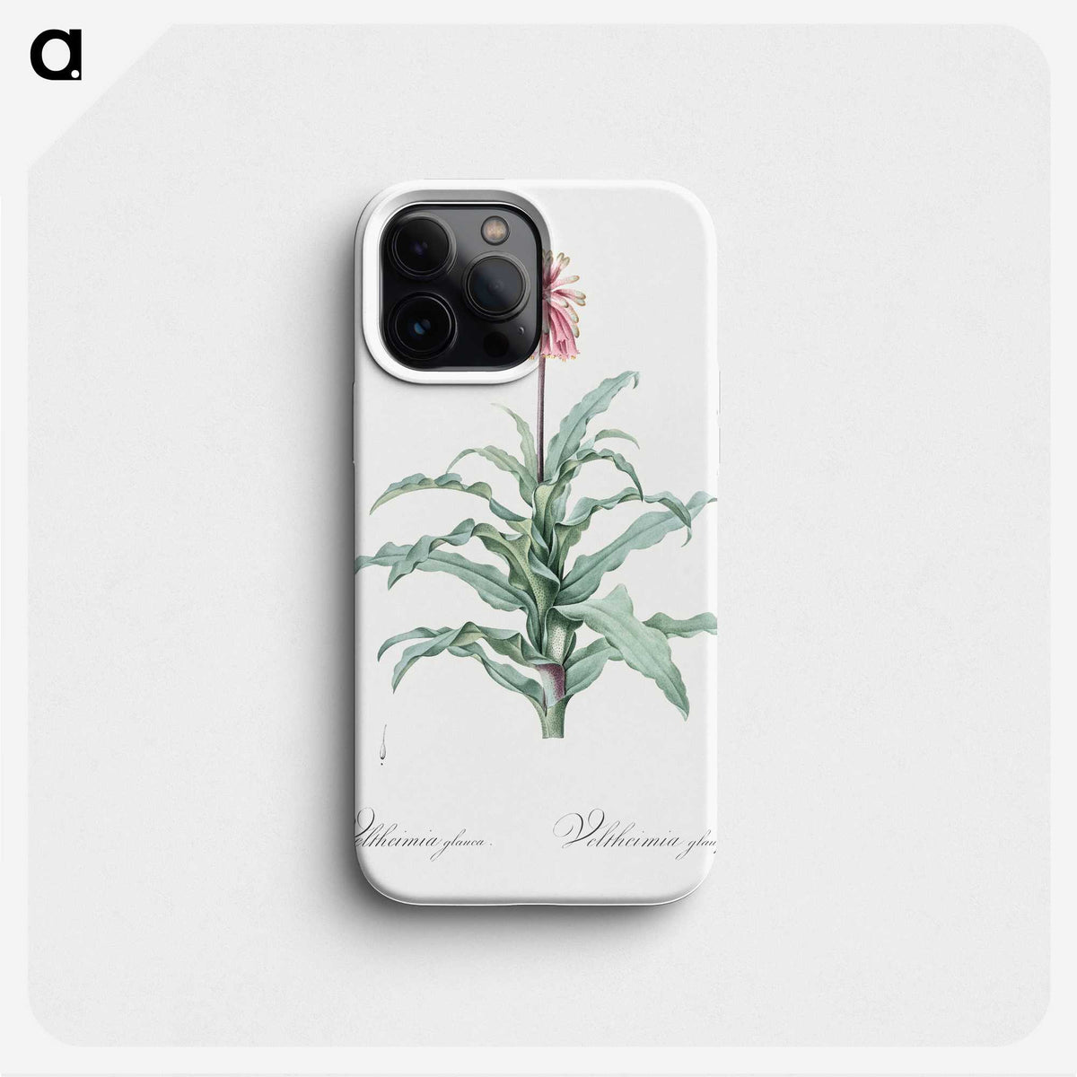 2-81_The-Lilies_phone