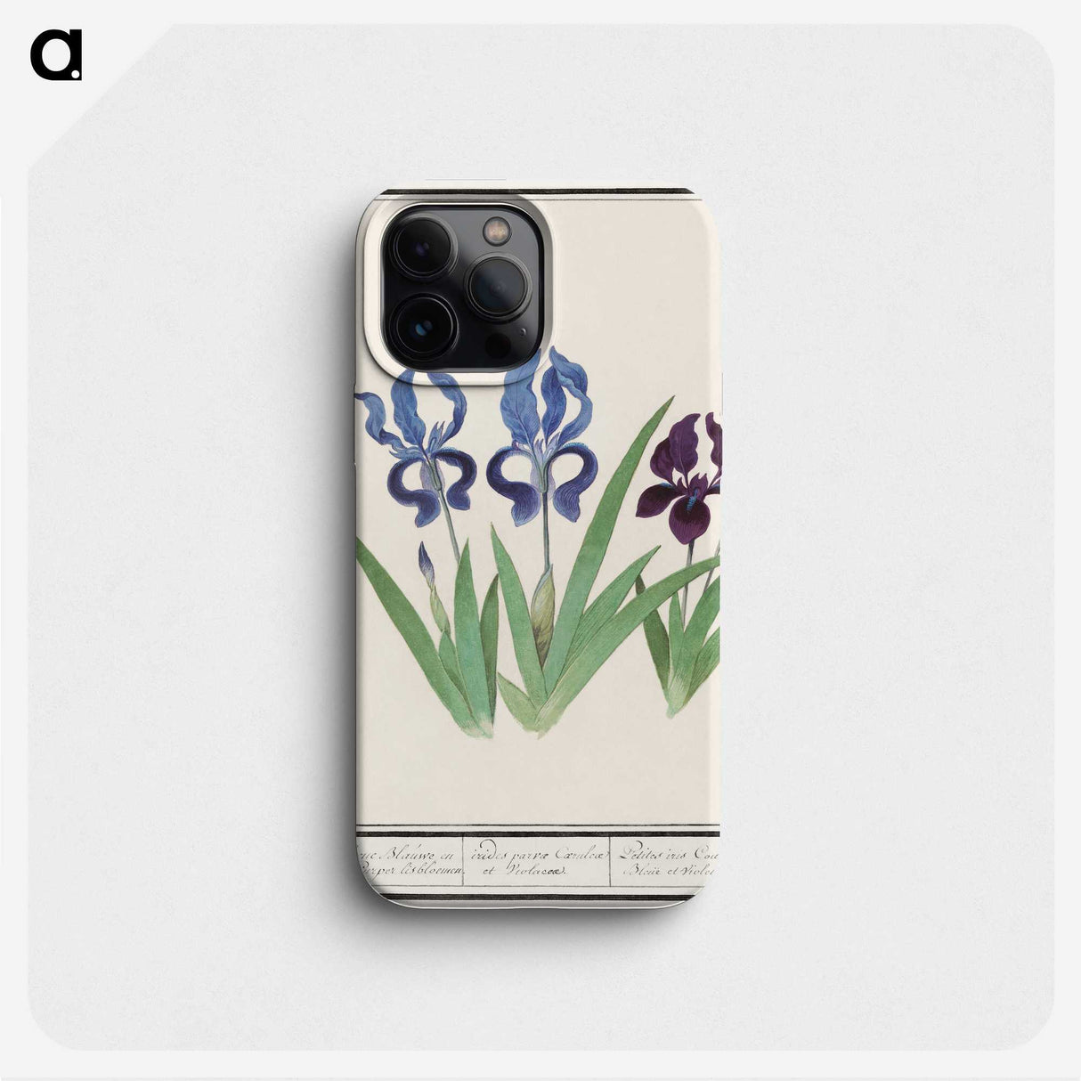 2-82_Anselmus-Boetius-de-Boodt_phone
