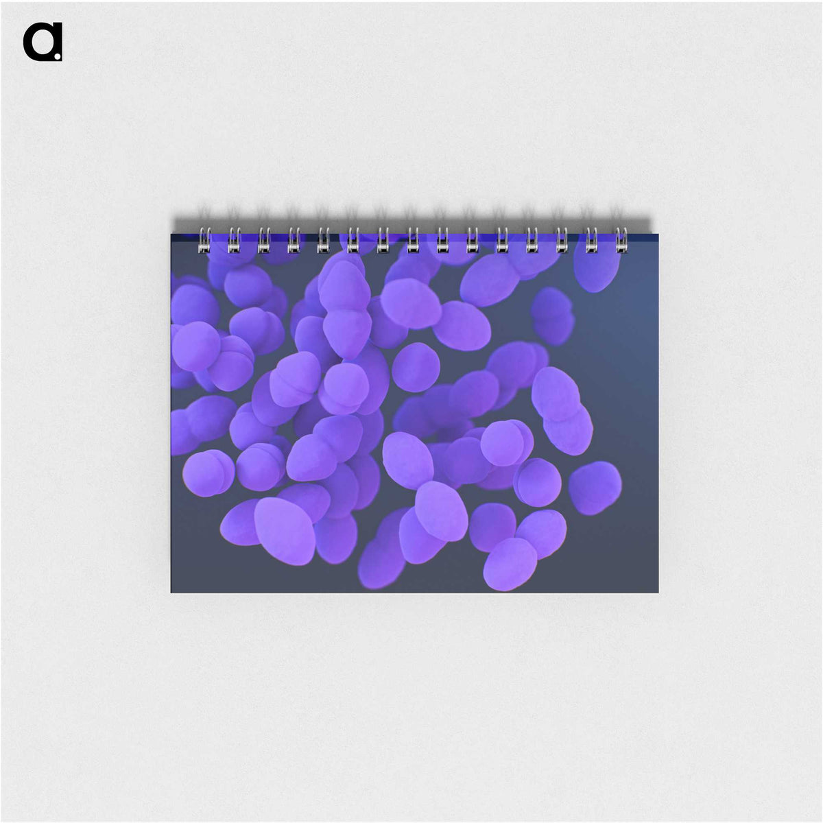 2-82_COVID-19_memo