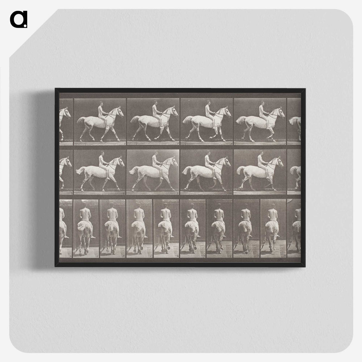 2-82_Eadweard-Muybridge_blk-crop