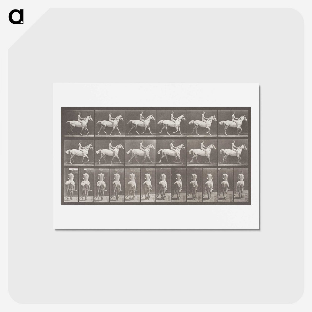2-82_Eadweard-Muybridge_hagaki