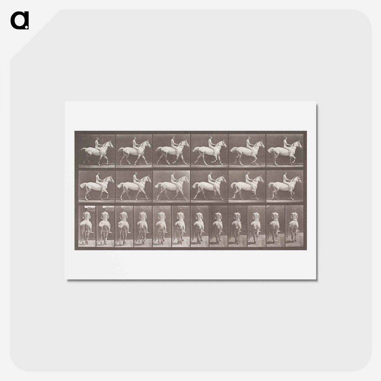 アートポストカード-Smith Trotting Bareback
- エドワード マイブリッジ Postcard.