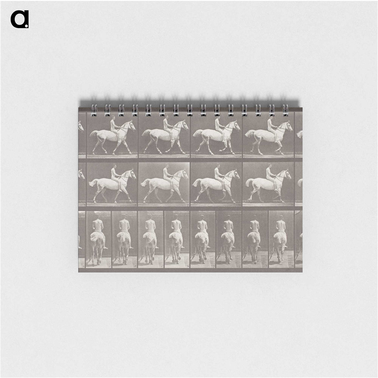 2-82_Eadweard-Muybridge_memo