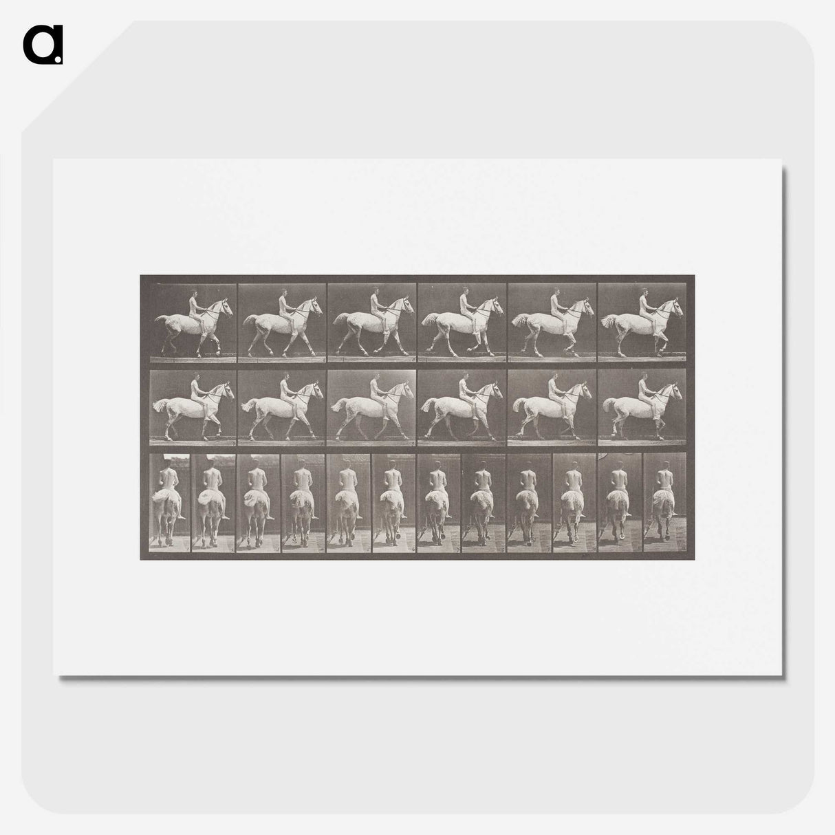 2-82_Eadweard-Muybridge_picture