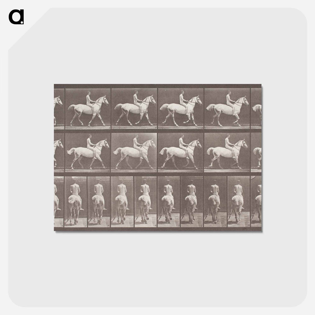 アートポストカード-Smith Trotting Bareback
- エドワード マイブリッジ Postcard.