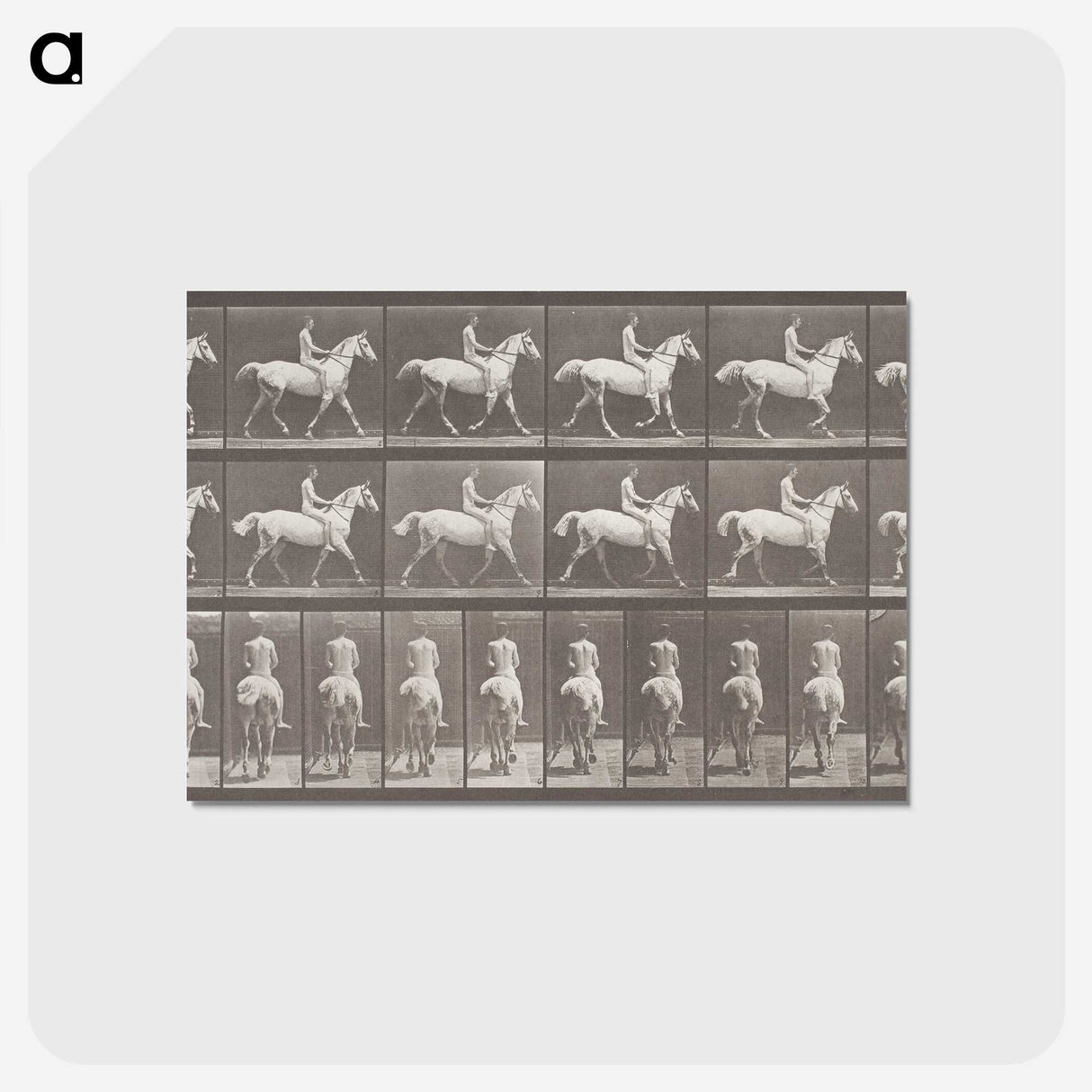 2-82_Eadweard-Muybridge_postcard