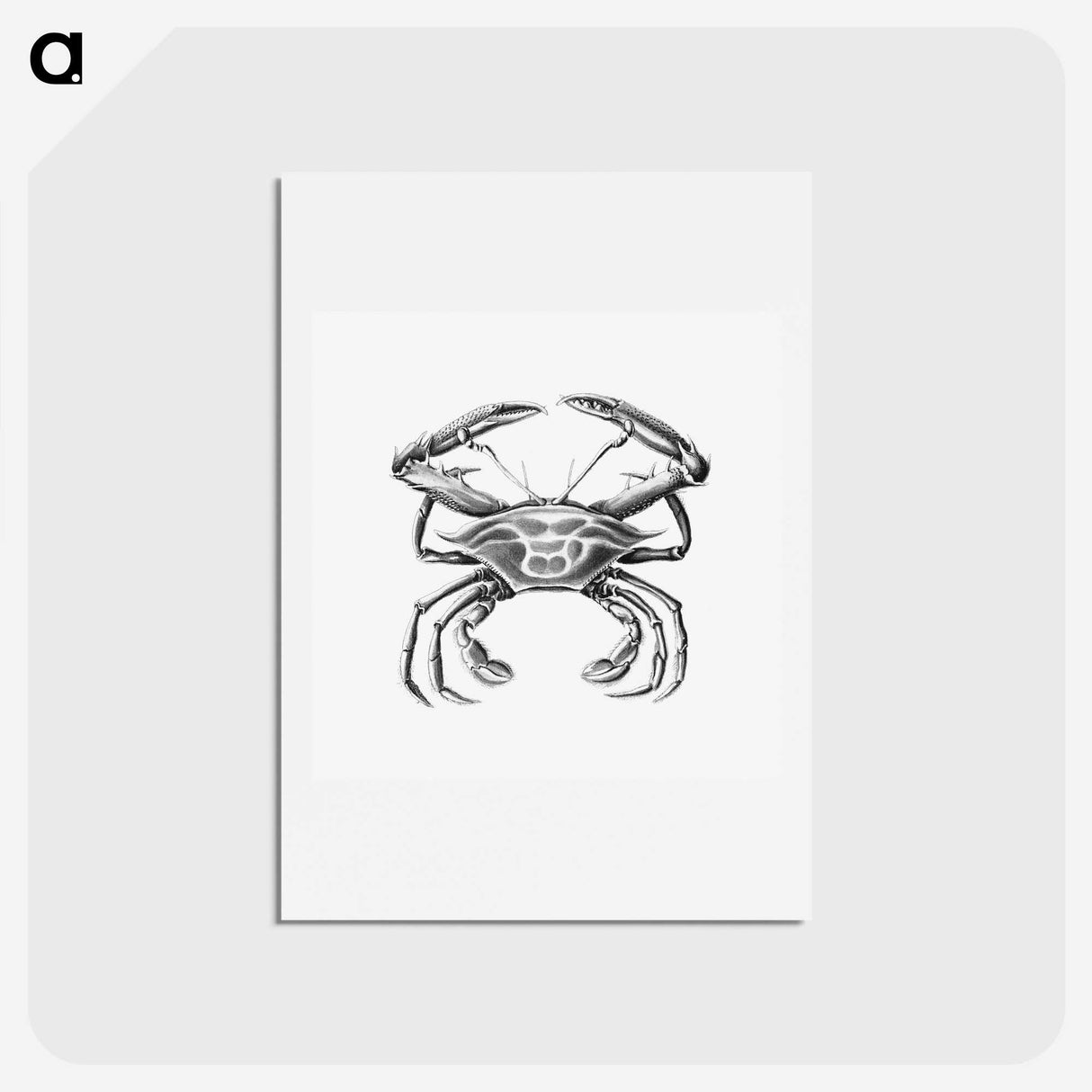 2-82_Ernst-Haeckel_hagaki