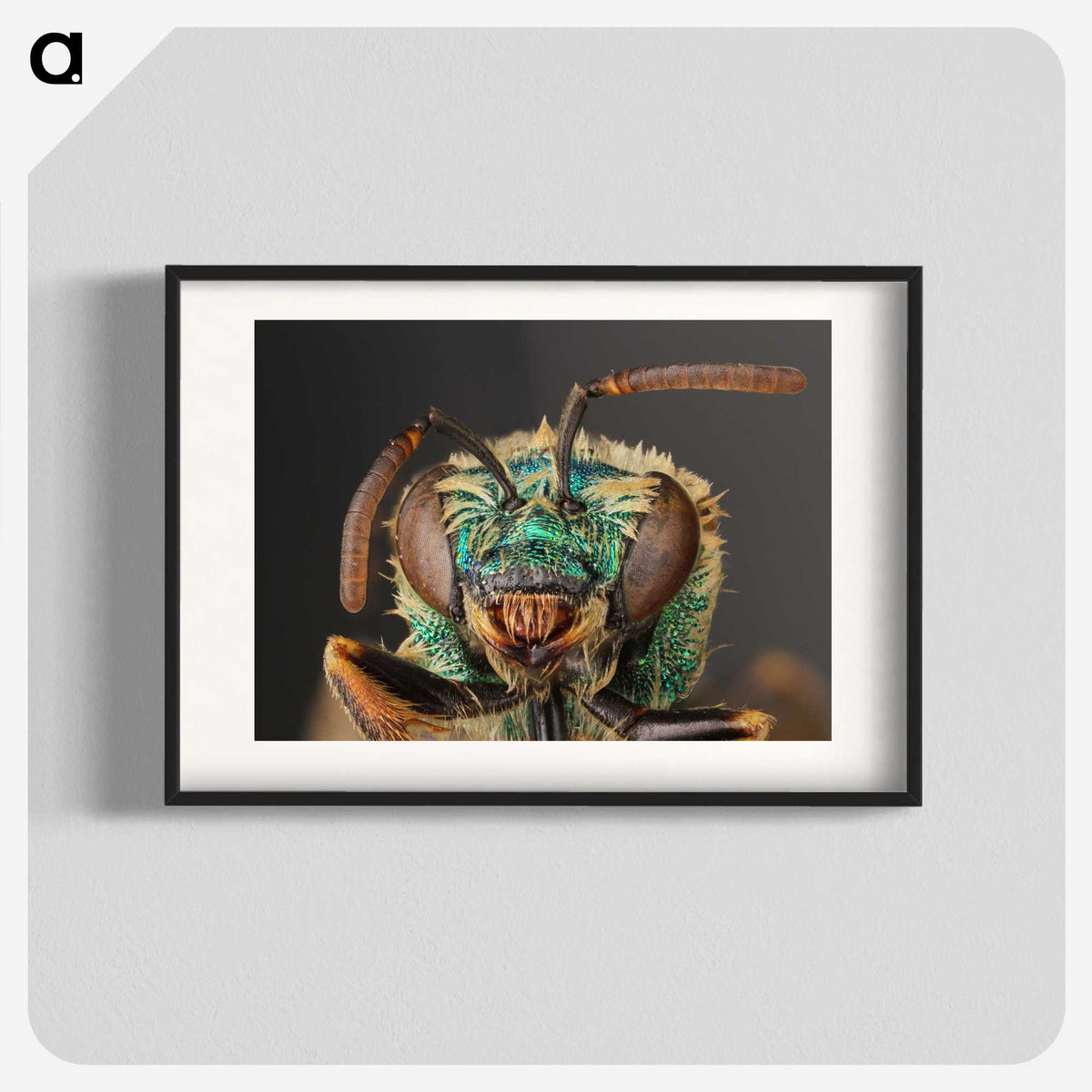 2-82_Insects-Unlocked-Project_blk