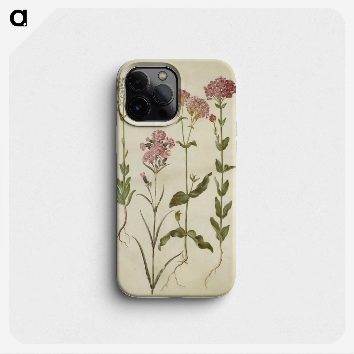 2-82_Maria-Sibylla-Merian_phone