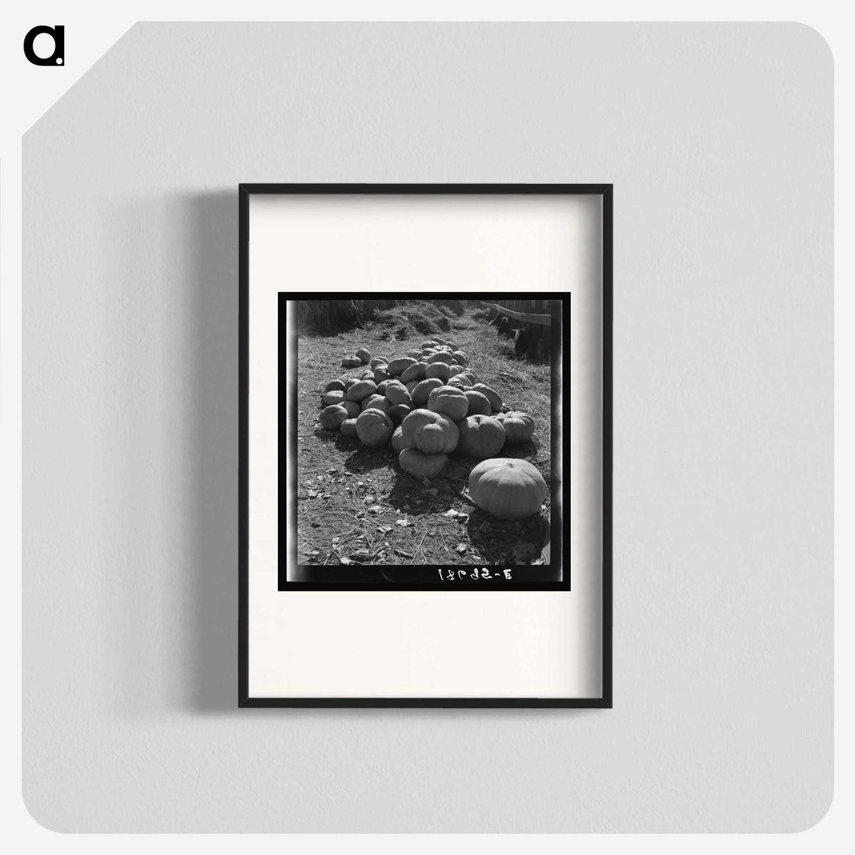2-83_Dorothea-Lange_blk