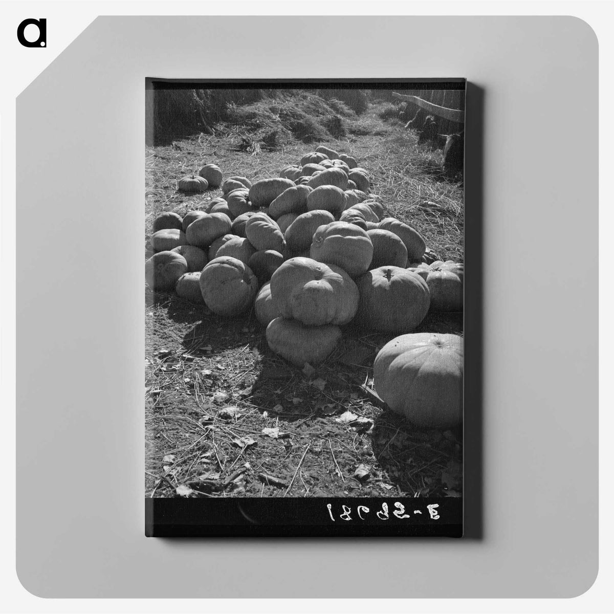 2-83_Dorothea-Lange_canvas
