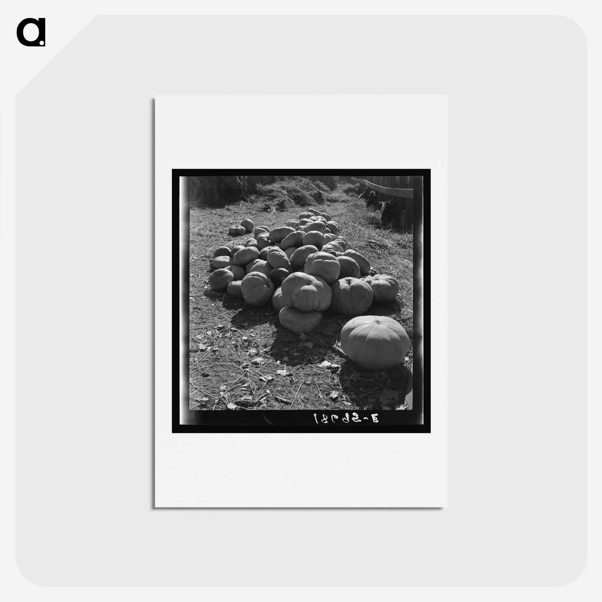 2-83_Dorothea-Lange_hagaki